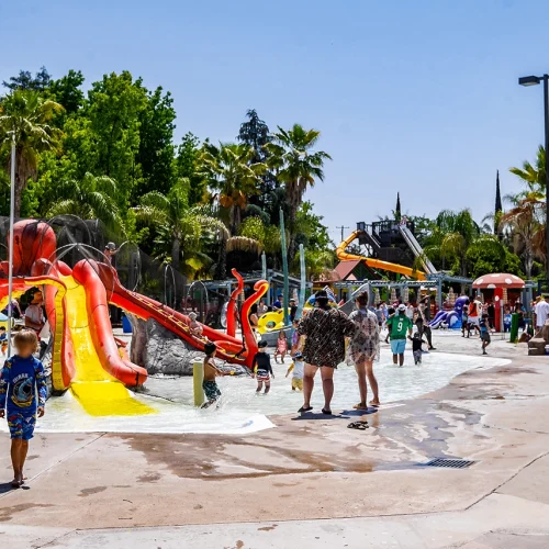 CASA_Splash-Day-2023_63