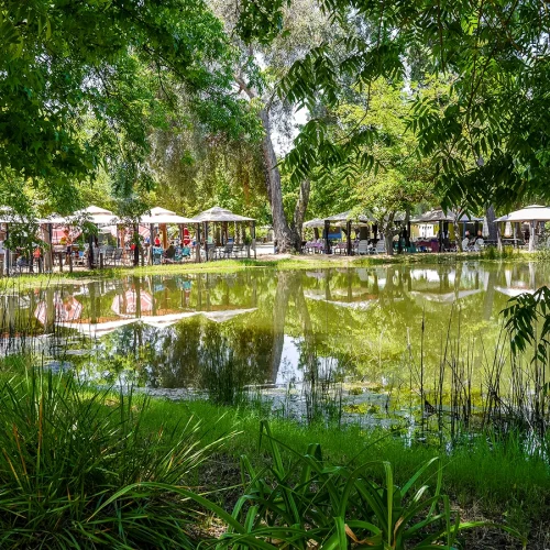 CASA_Splash-Day-2023_72